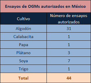 ensayos 2004 tabla