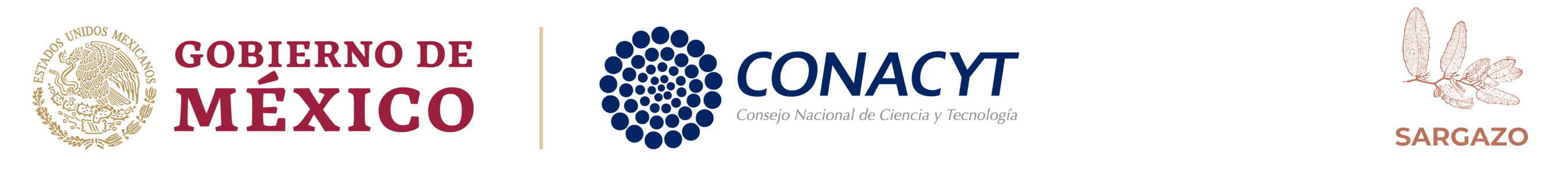 Logo GMx Conacyt Sargazo