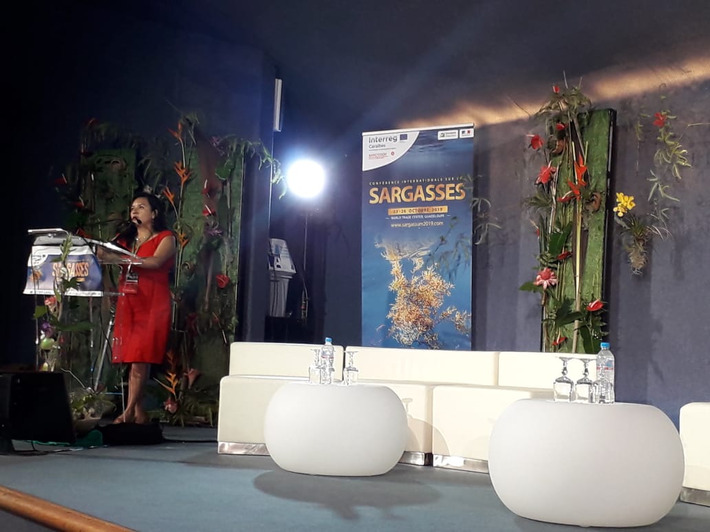 Delegación mexicana, el Conacyt presentó la Agenda de Ciencia, Tecnología e Innovación para la atención, adaptación y mitigación del arribo del sargazo pelágico a las costas del Caribe mexicano