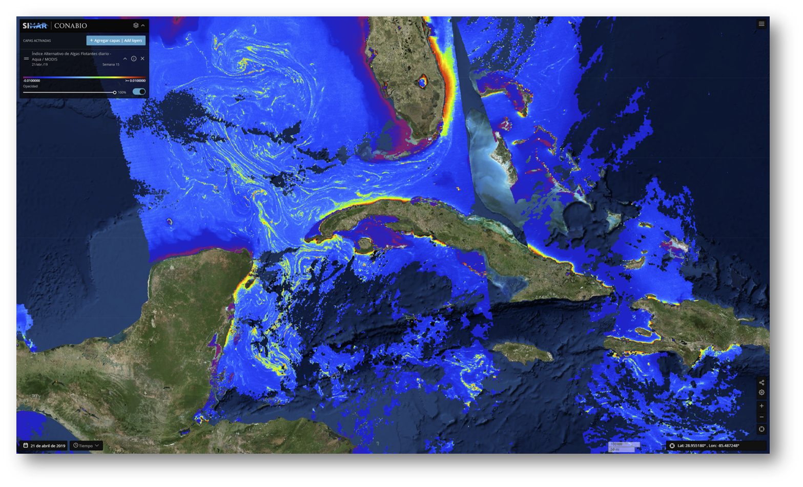 imagen monitoreo