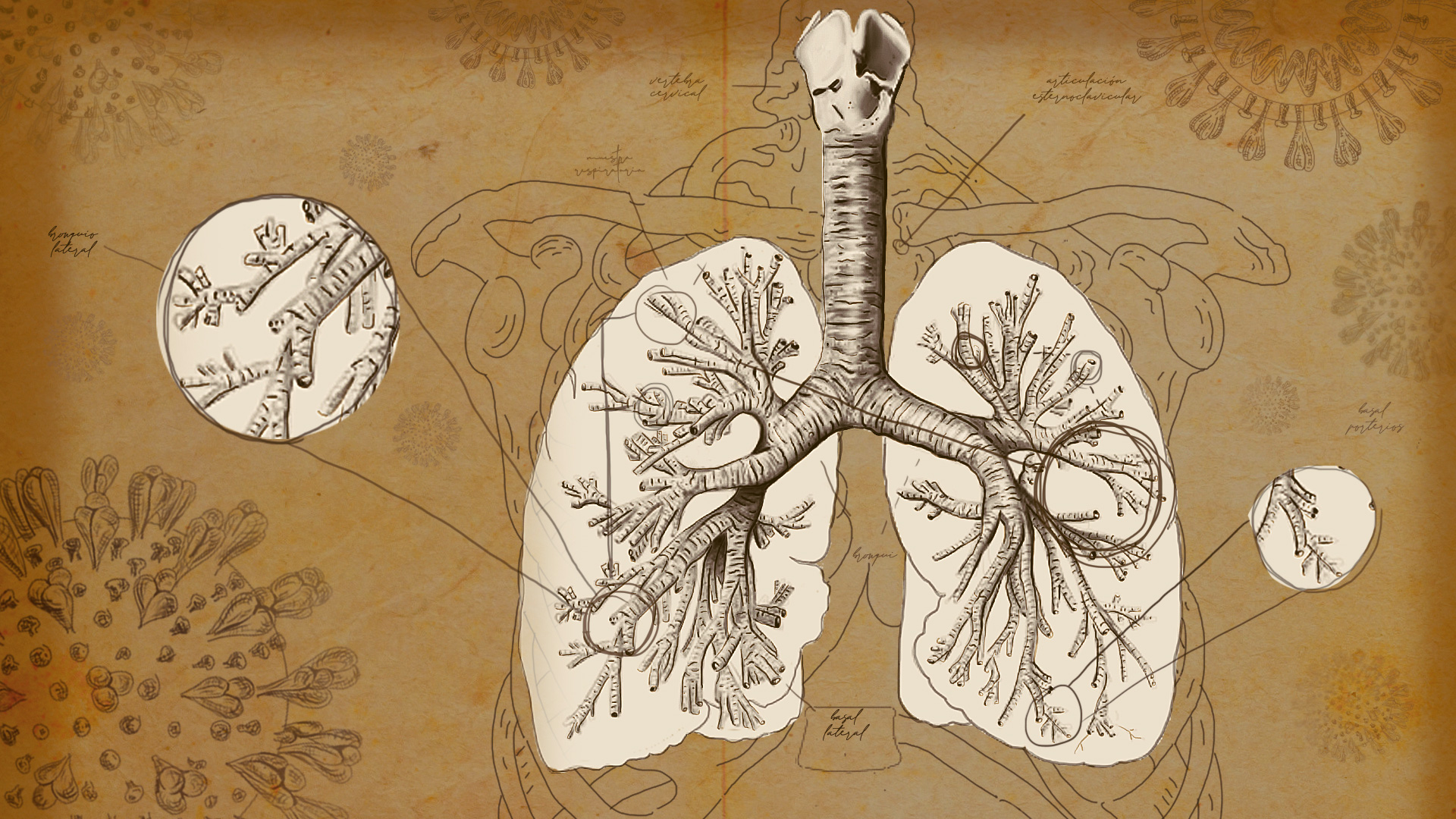 Lee más sobre el artículo Ecosistema Nacional Informático de Salud, capítulo COVID-19