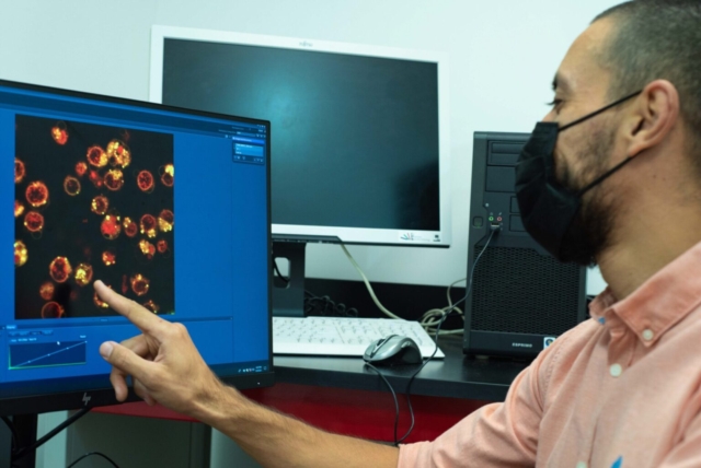 Dr. Miguel Ángel Olivas-Aguirre analizando las muestras por microscopía confocal.