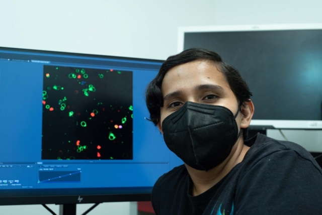 Dra. Kathya Villatoro-Gómez analizando las muestras por microscopía confocal.