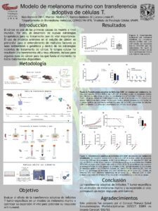 Cartel C Proyecto 303027