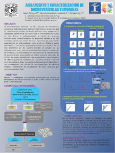 Cartel A Proyecto 303070