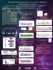 Cartel F Proyecto 302942