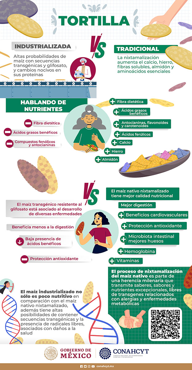 Infografía 02 Calidad de las Tortillas